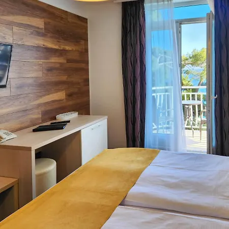 Bor Hotel 3*