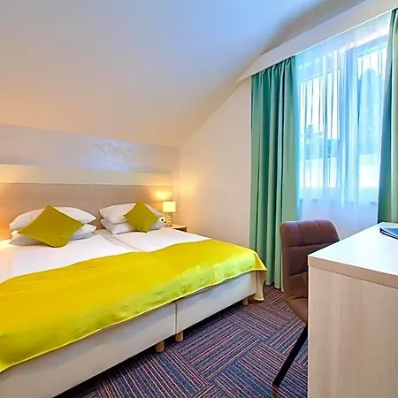 Hotel Bor