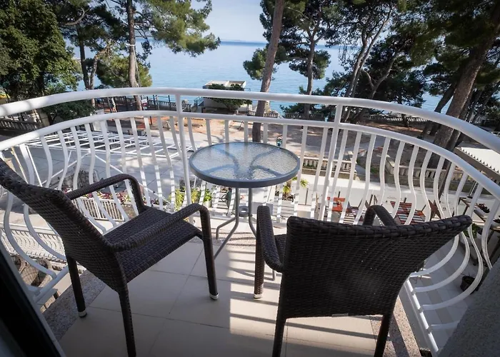 酒店 博尔酒店 3*