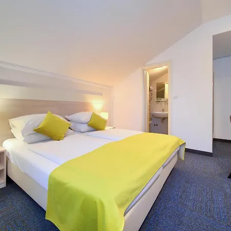 Hotel Bor 3*
